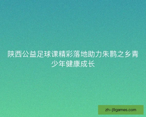 陕西公益足球课精彩落地助力朱鹮之乡青少年健康成长