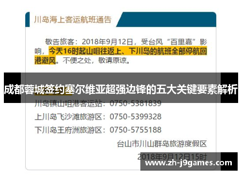 成都蓉城签约塞尔维亚超强边锋的五大关键要素解析